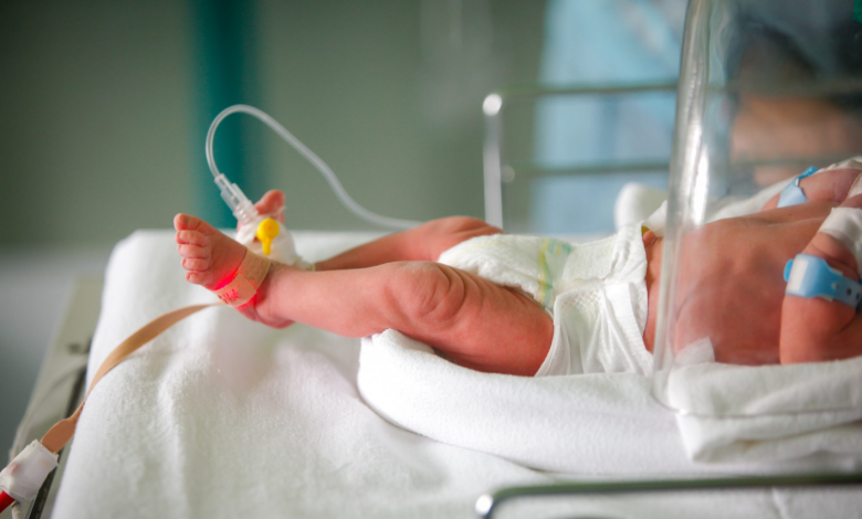 Verona neonati infettati batterio ospedale