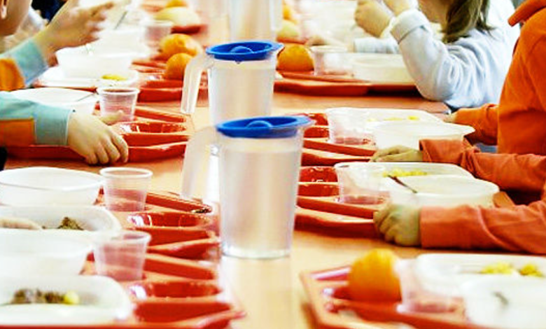 Vicenza muffa insetti pasti mensa scolastica