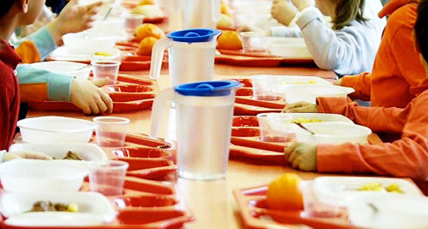 Vicenza muffa insetti pasti mensa scolastica