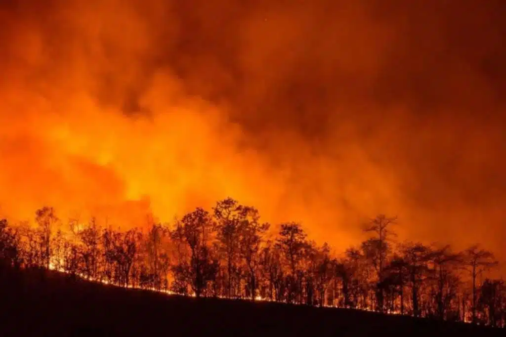 sardegna incendi nuoro orontelli