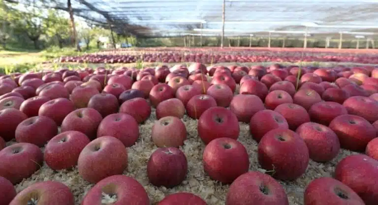 cosa fare campania fine settimana 19-20 ottobre
