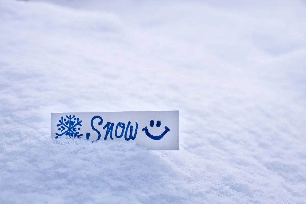 giornata mondiale neve 19 gennaio 2025
