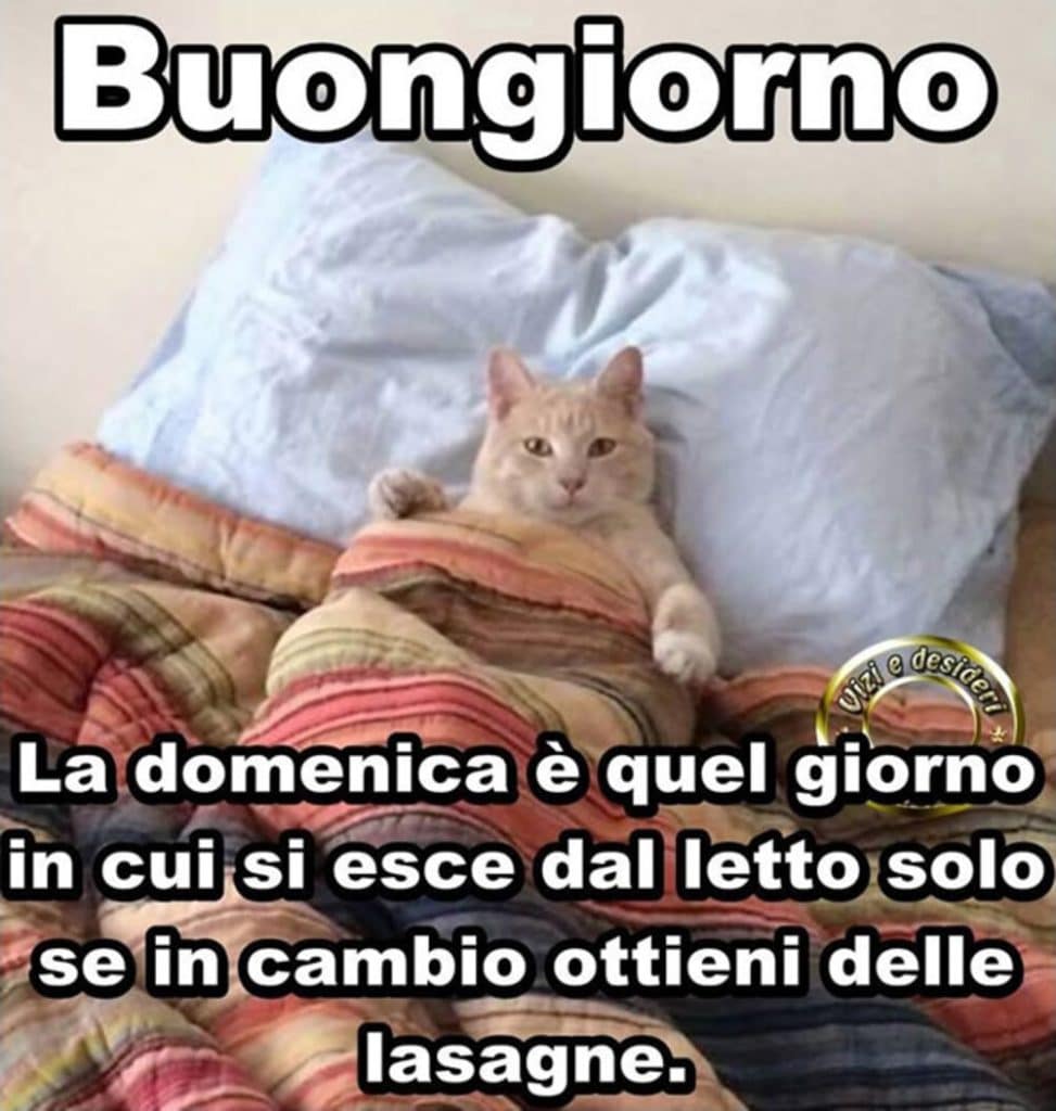 buon 9 febbraio 2025 frasi immagini più belle