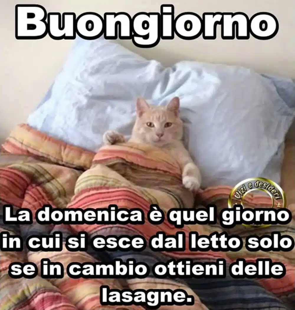 buon 9 febbraio 2025 frasi immagini più belle